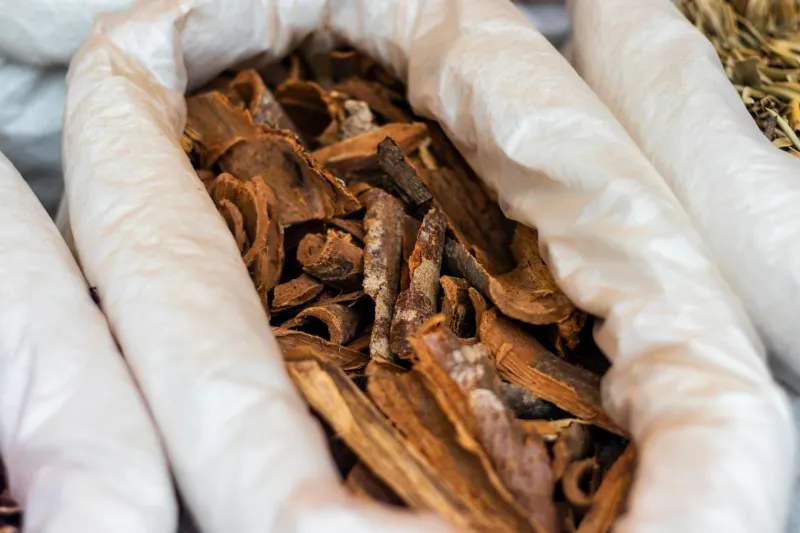 Nature's Medieval Pharmacy: Ancient Shropshire Healing Wisdom for the Harshest Season