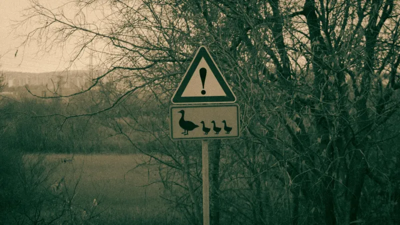 Reading the Heavens: Ancient Shropshire's Natural Weather Wisdom for Christmas Preparation